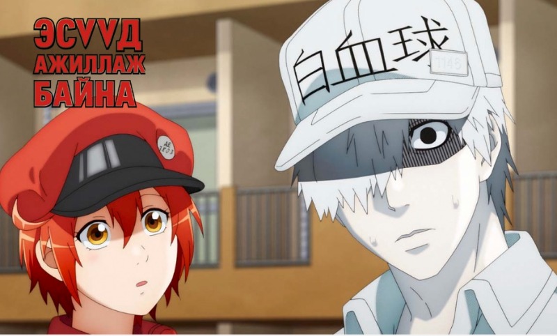 Эсүүд ажиллаж байна | Cells at work